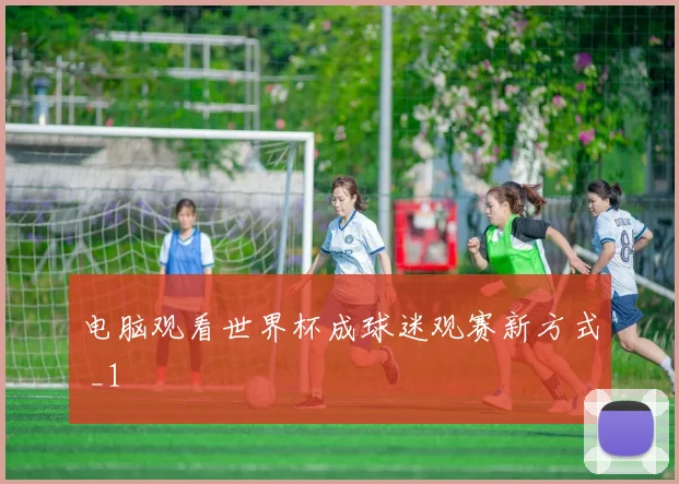 电脑观看世界杯成球迷观赛新方式 _1