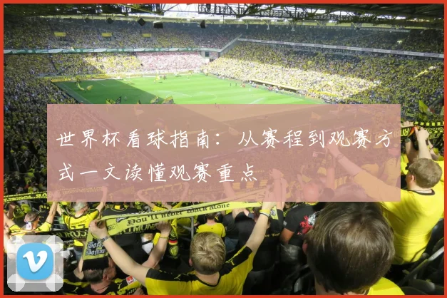 世界杯看球指南：从赛程到观赛方式一文读懂观赛重点